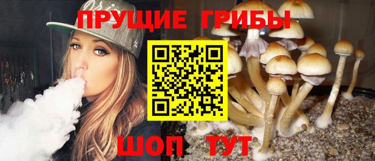 Псилоцибиновые грибы мицелий  Галлюциногенные грибы ЛСД  Будённовск  Вход с VPN 